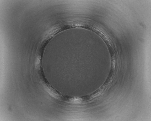 X0000116010410200911191529