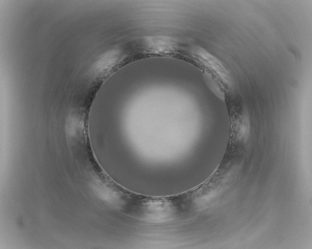 X0000116010415200911191529