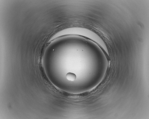 X0000116010417200911191529