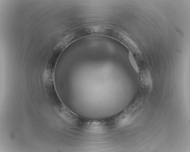 X0000116010419200911191529