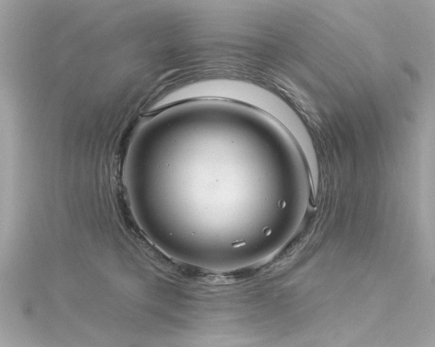 X0000116010421200911191529