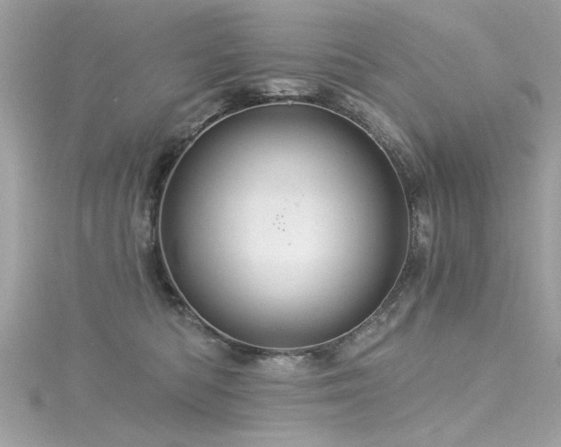 X0000116010422200911191529