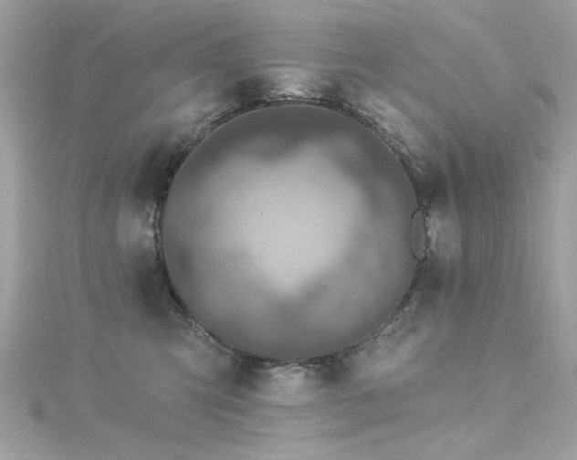 X0000116010423200911191529