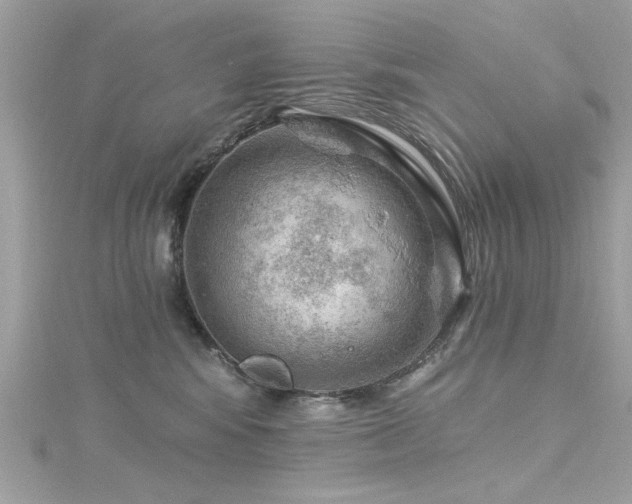 X0000116010424200911191529