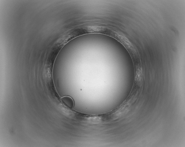 X0000116010426200911191529