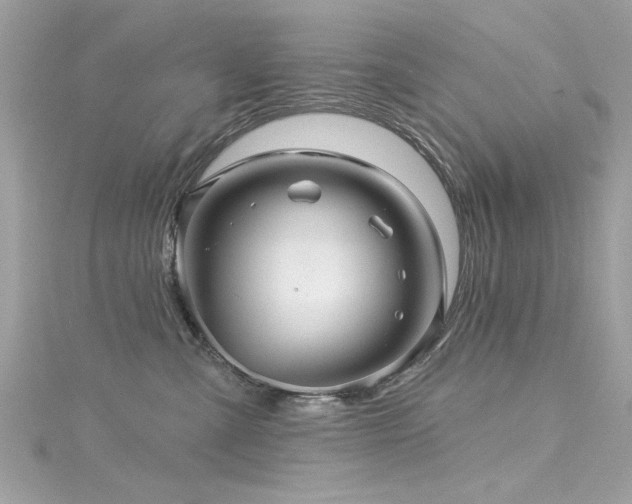 X0000116010427200911191529