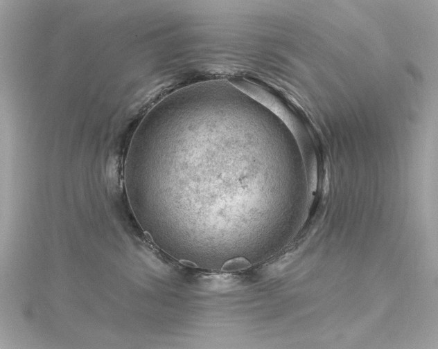 X0000116010428200911191529