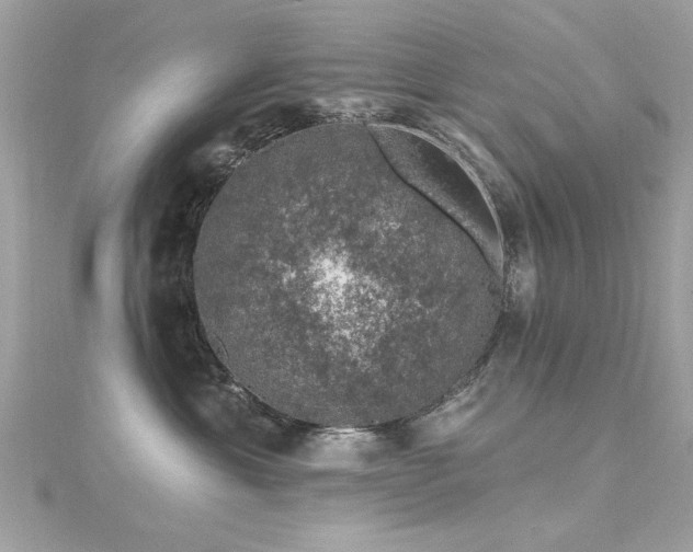 X0000116010429200911191529