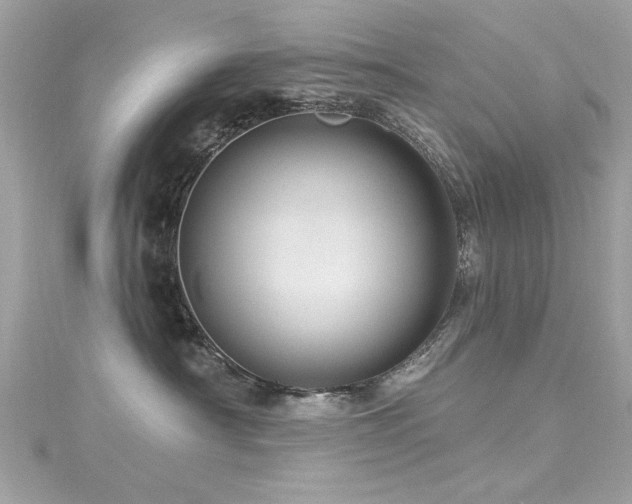 X0000116010430200911191529