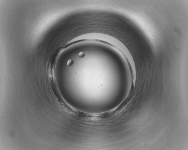 X0000116010431200911191529