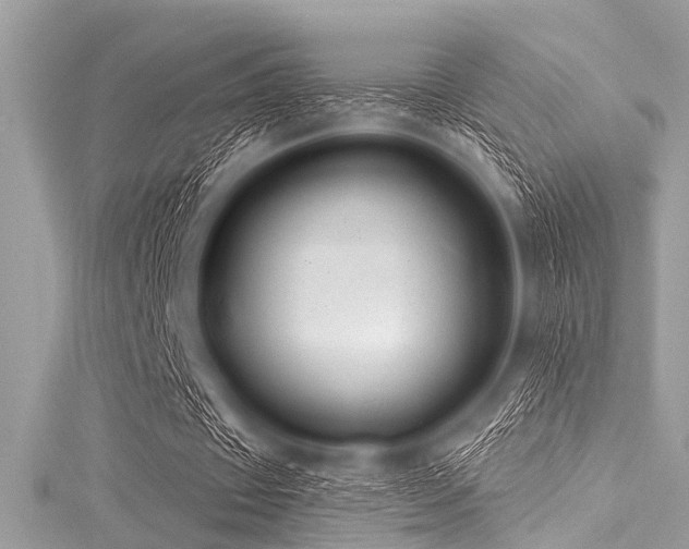 X0000116010433200911191528