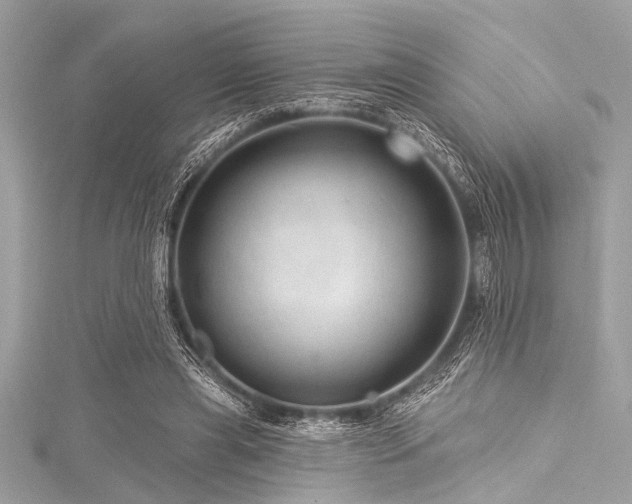 X0000116010445200911191528