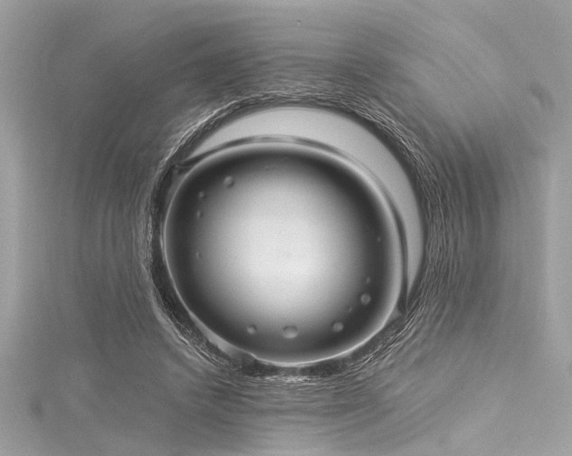 X0000116010448200911191528