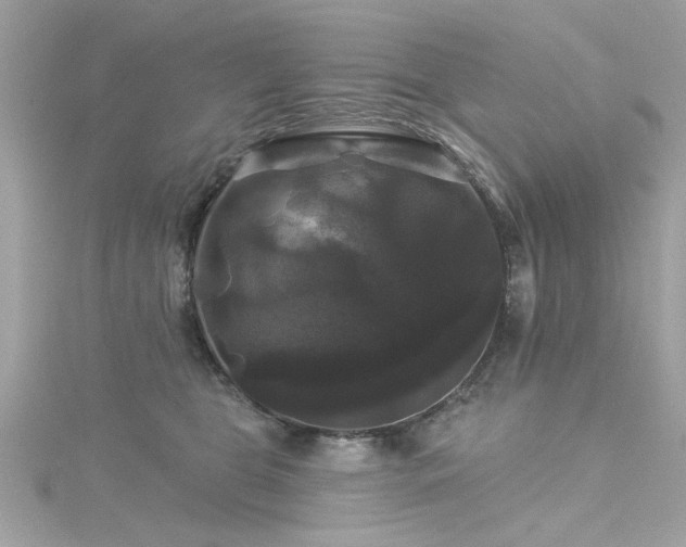 X0000116010469200911191529