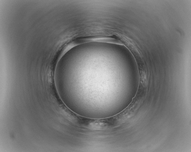 X0000116010470200911191529