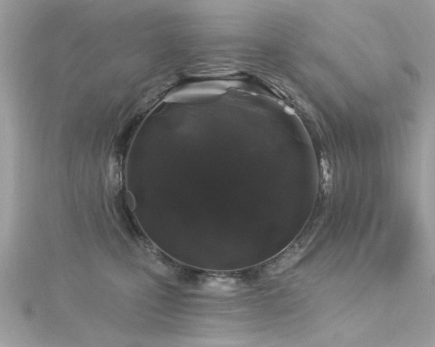 X0000116010471200911191529