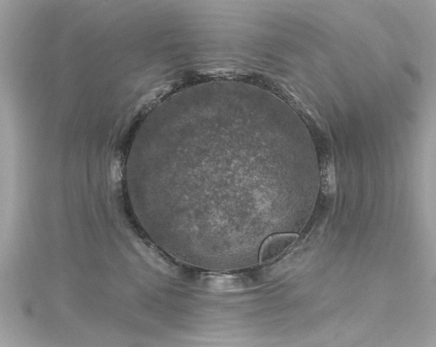 X0000116010472200911191529