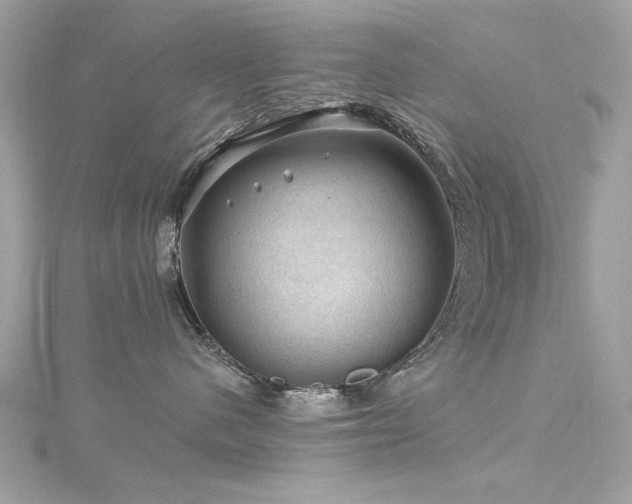 X0000116010480200911191529