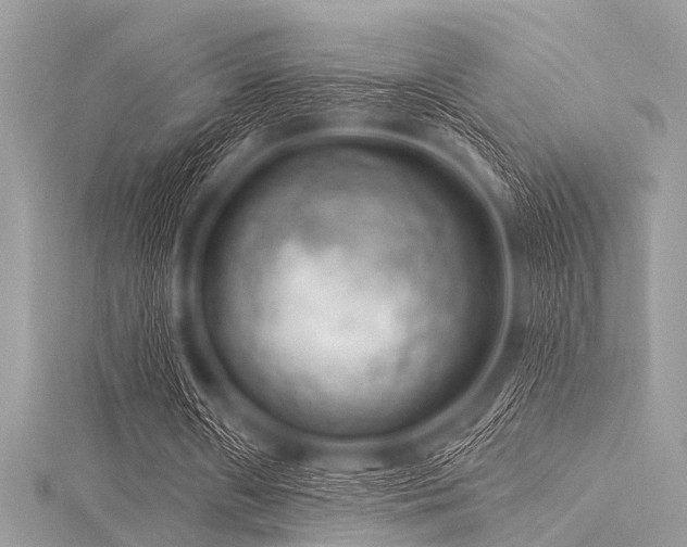 X0000116010482200911191528