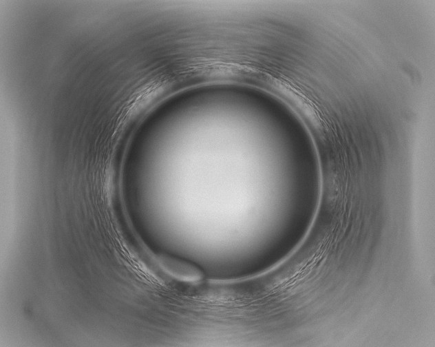 X0000116010485200911191528