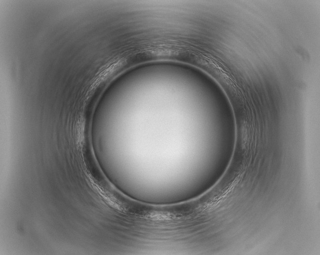 X0000116010490200911191528