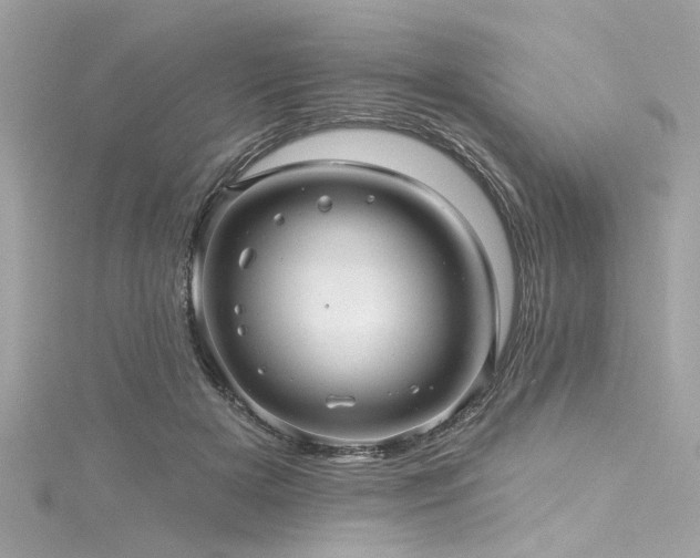X0000116010505200911191528