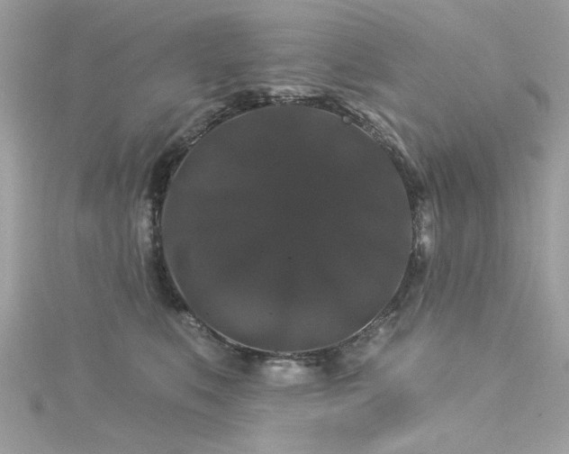 X0000116010519200911191528