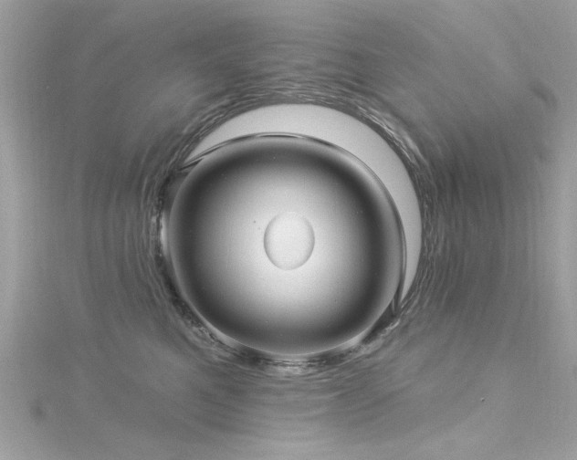 X0000116010521200911191528