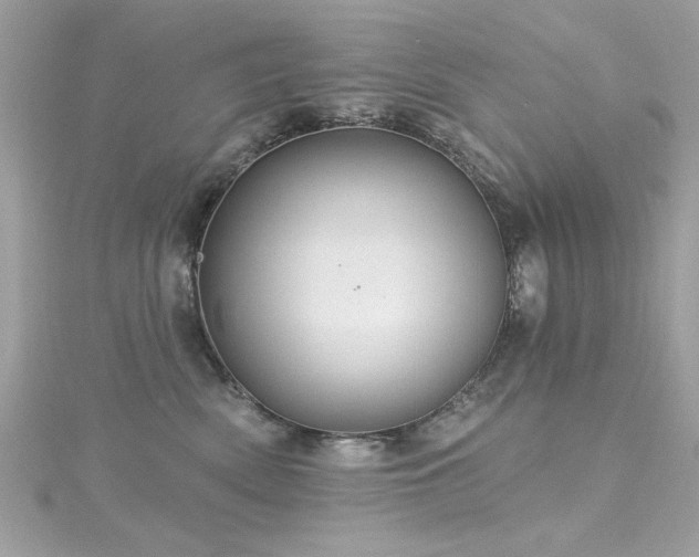 X0000116010522200911191527