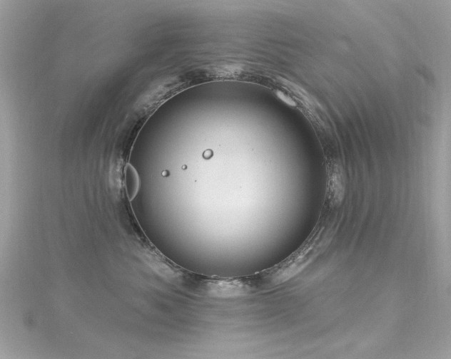 X0000116010525200911191527