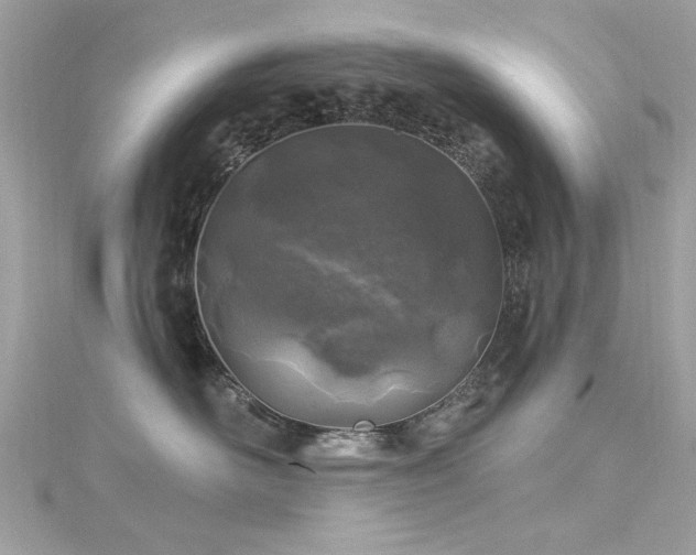 X0000116010526200911191527
