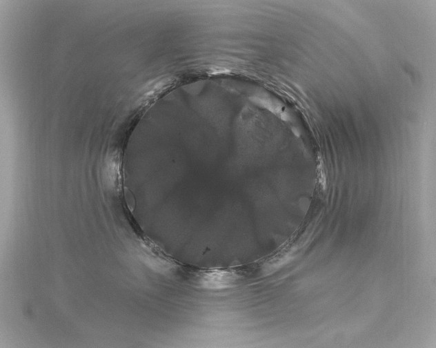 X0000116010527200911191527