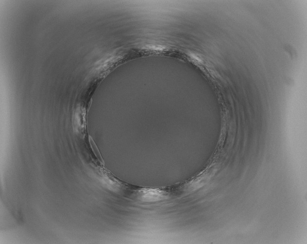 X0000116010528200911191527