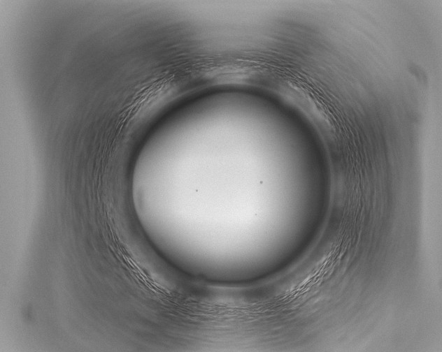 X0000116010529200911191527