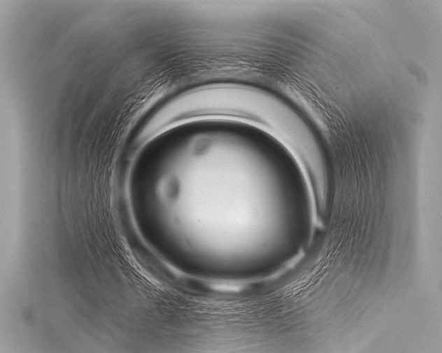 X0000116010530200911191527