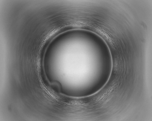 X0000116010535200911191527