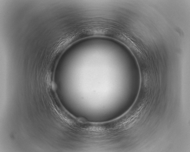 X0000116010537200911191527