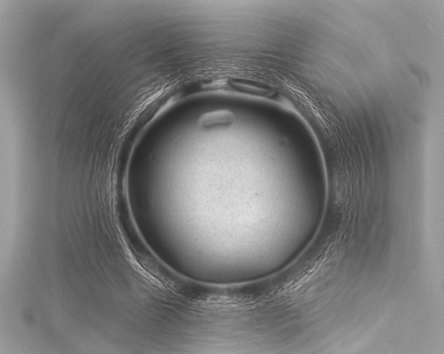 X0000116010538200911191527