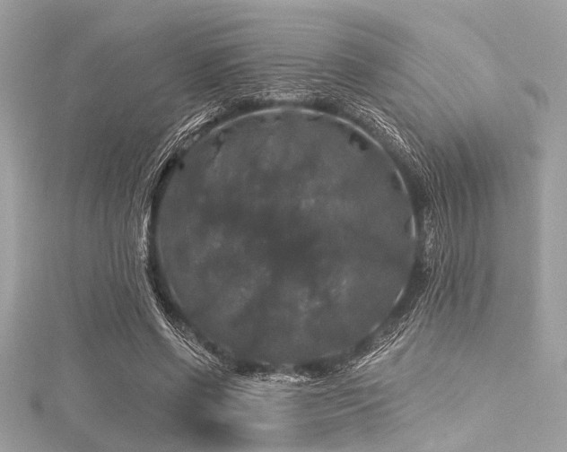 X0000116010542200911191527