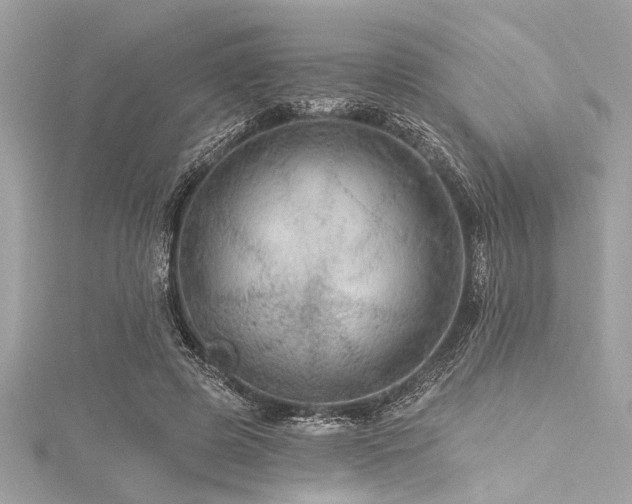 X0000116010545200911191527