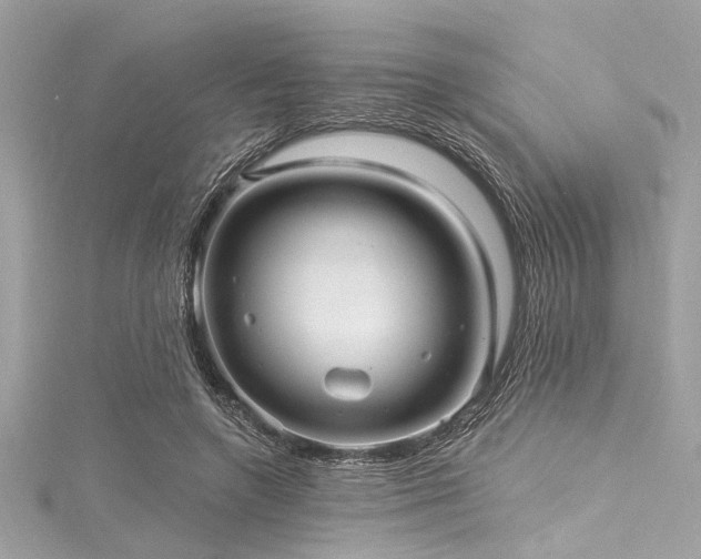 X0000116010546200911191527