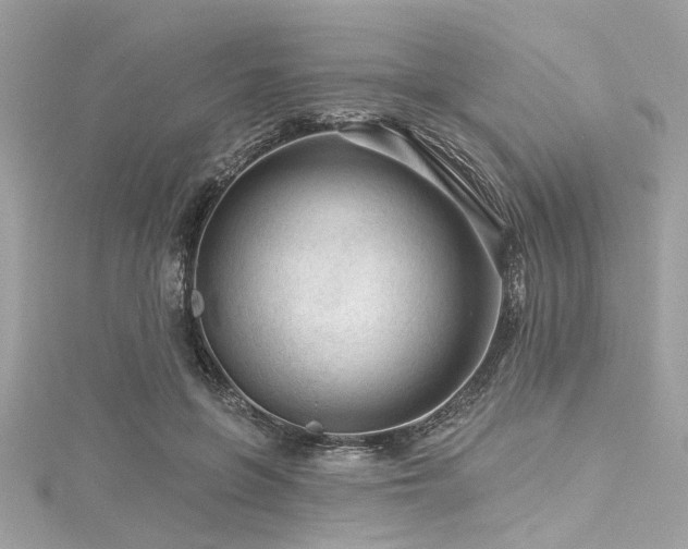X0000116010551200911191527