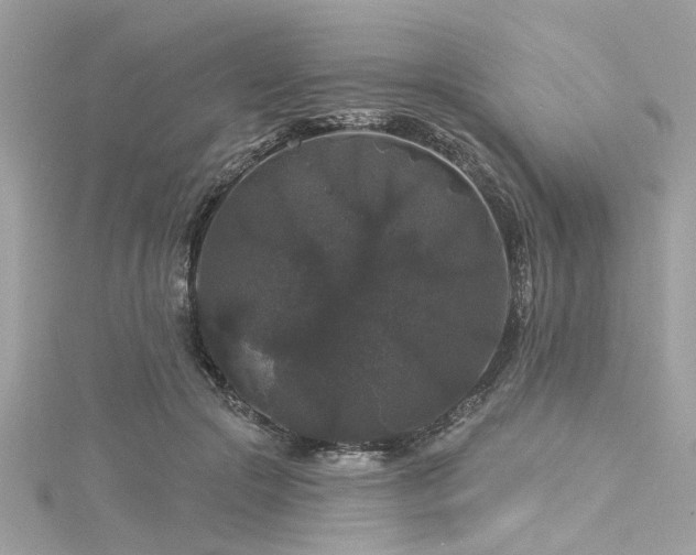 X0000116010553200911191527