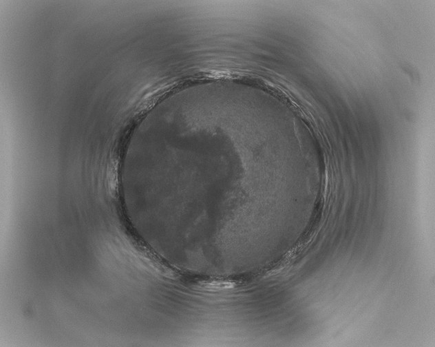 X0000116010554200911191527