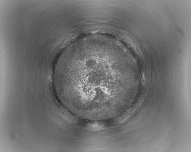 X0000116010561200911191527