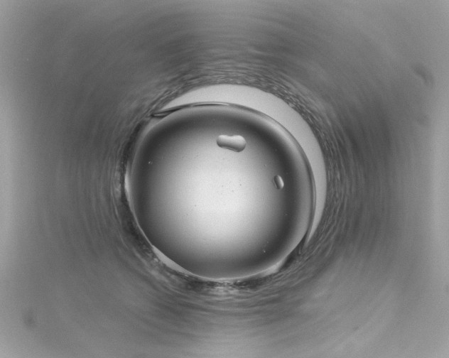 X0000116010562200911191527