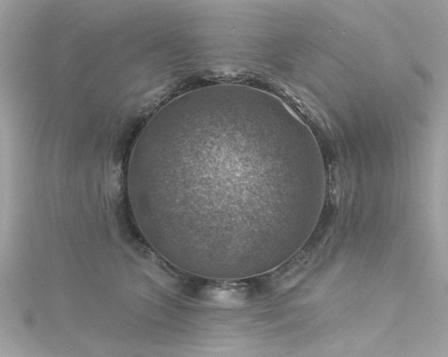 X0000116010563200911191527