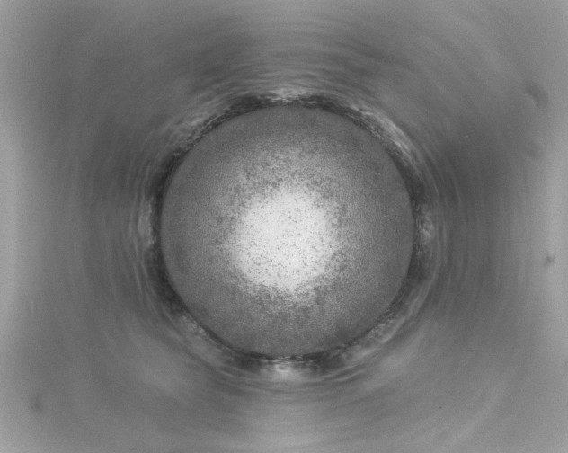 X0000116010565200911191527