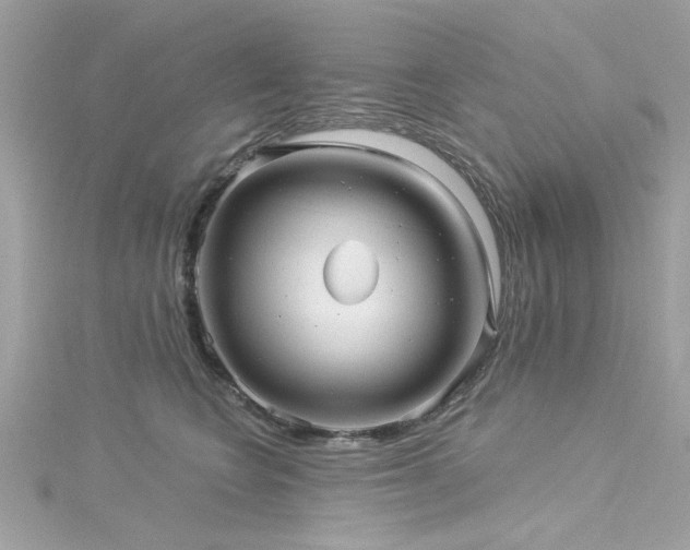 X0000116010566200911191527