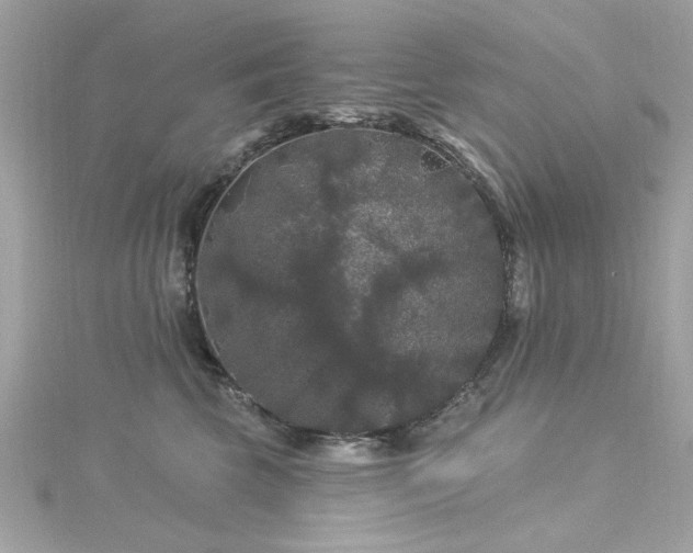 X0000116010569200911191527